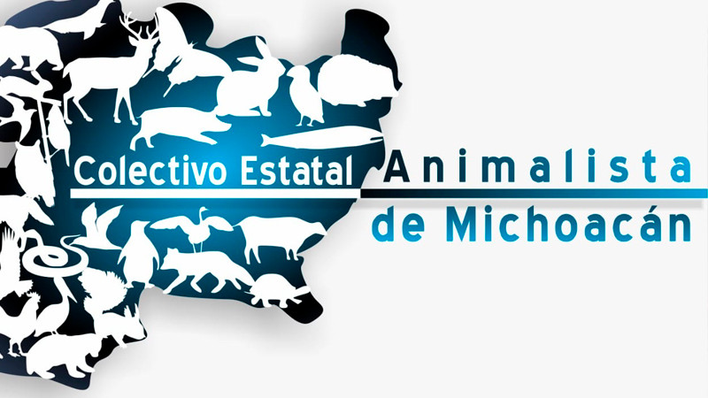 Maravatío, territorio del horror animal: exigen a la FGE detener la impunidad