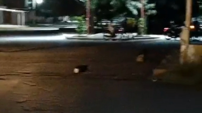 Noche larga en municipio de Michoacán: explosivos bloquean accesos a La Ruana, Buenavista; habitantes permanecen sin poder entrar o salir