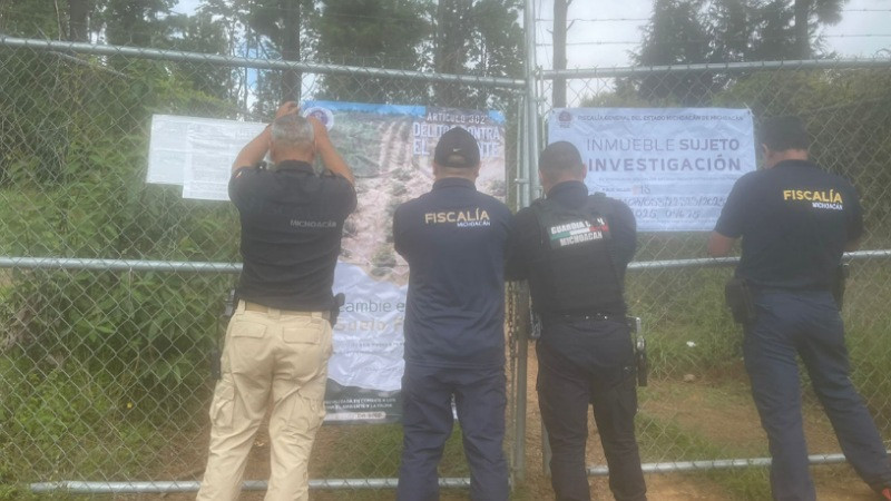 Aseguran en Tacámbaro, Michoacán, predio talado clandestinamente para siembra de aguacate