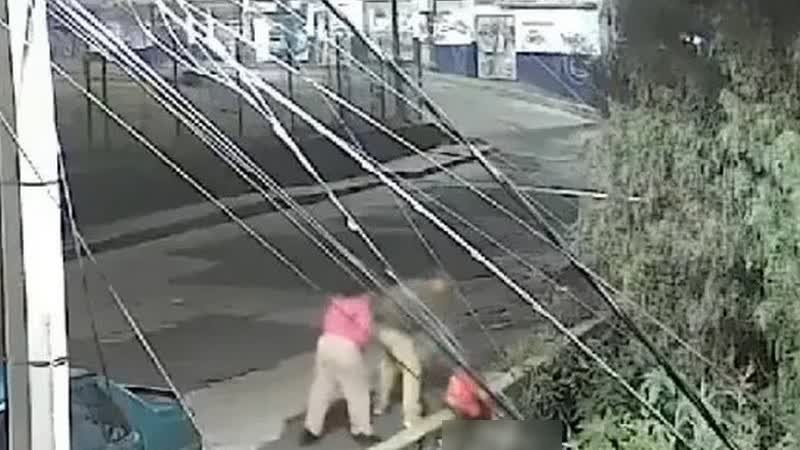 Nuevo caso de maltrato animal: pareja arroja a gatito a un barranco en el Estado de México