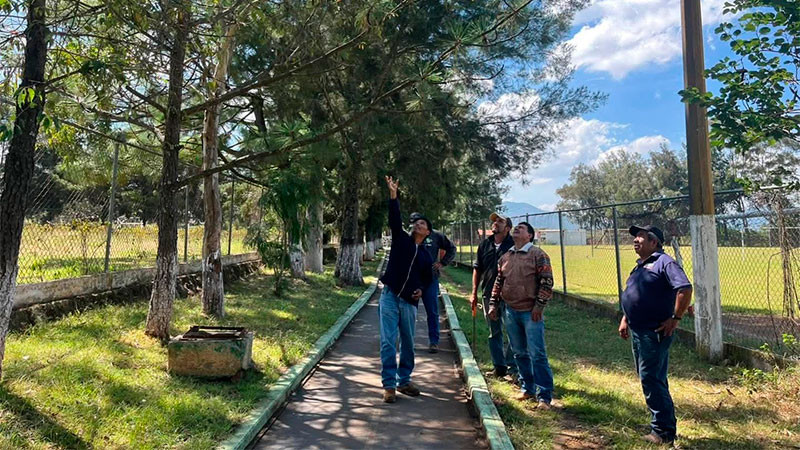 Supervisa Ayuntamiento de Quiroga estado de los árboles en la Unidad Deportiva para preservar las áreas verdes 