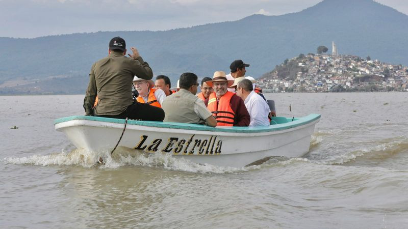 Más de 80 mil peces liberados en el lago de Pátzcuaro como parte del plan de conservación: Bedolla 