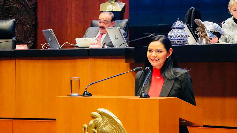 Ley de Ingresos garantiza recursos para bienestar, salud y educación: Araceli Saucedo 