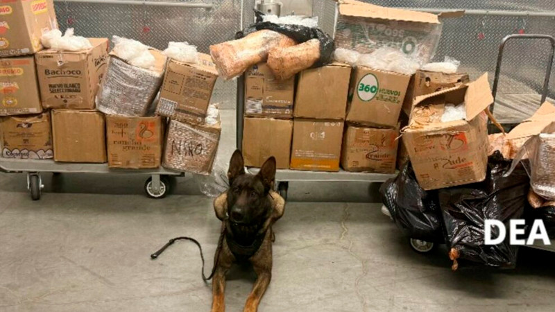 Aseguran en EEUU más de 900 kilos de estupefacientes; los vinculan con Jalisco
