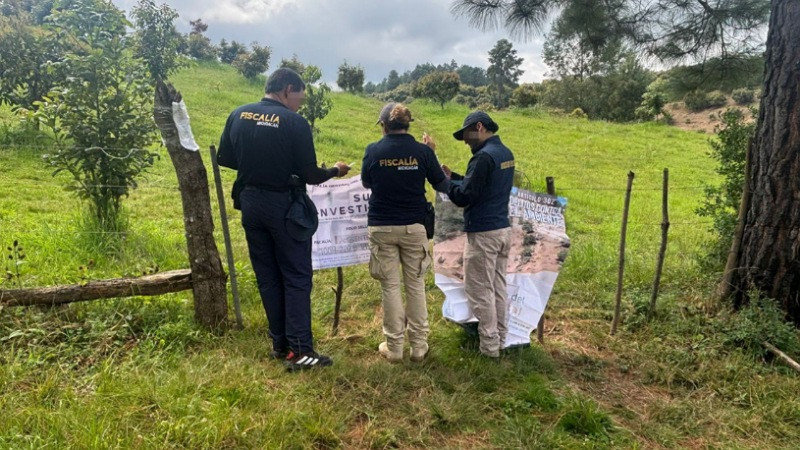 Incautan en Tacámbaro, Michoacán, predio talado clandestinamente para siembra de aguacate 