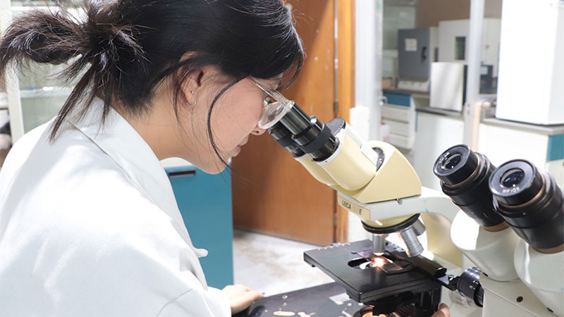 UTM vincula a estudiantes con sector productivo nacional e internacional 