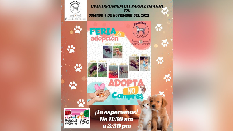 Michis y lomitos entrevistarán a sus futuros humanos en feria de adopción de Rescatistas Independientes  