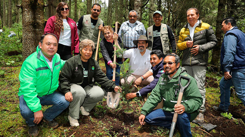  Reforestadas más de 2 mil hectáreas en la Reserva de la Biosfera de la Mariposa Monarca 
