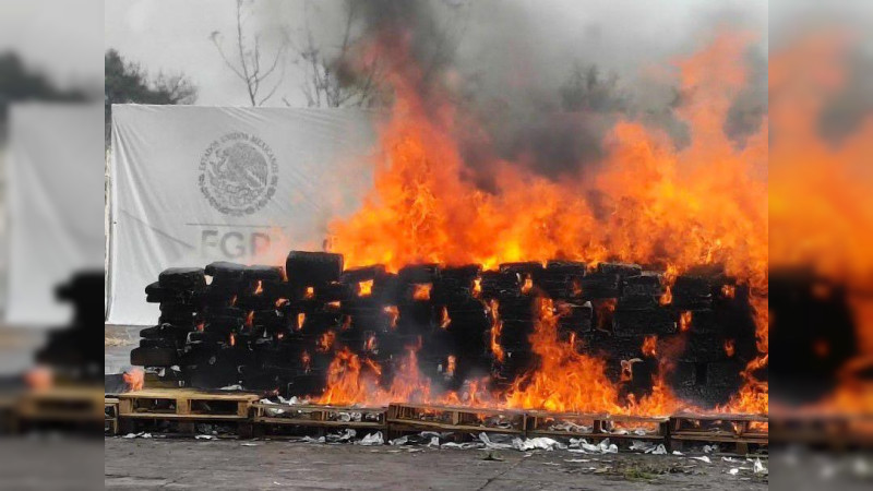 FGR obtiene 25 sentencias y destruye más de 90 kilos de estupefacientes durante octubre en Michoacán 