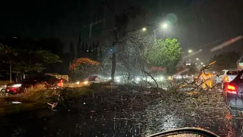 Veracruz emite Alerta Gris por amenaza de "Norte Violento" 