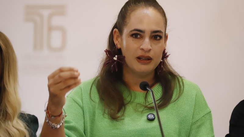  La protección de quienes defienden la tierra debe ser prioridad nacional: Sandra Arreola 