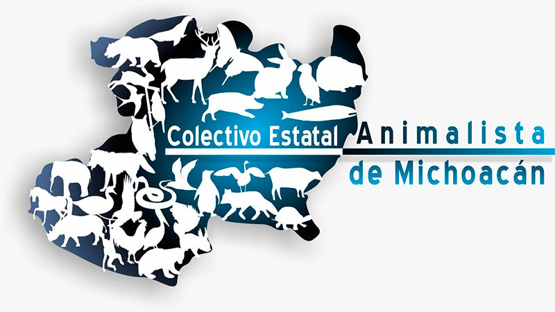 “Asociaciones animalistas lanzan un enérgico ‘¡Ya basta!’ ante el envenenamiento masivo de animales” 