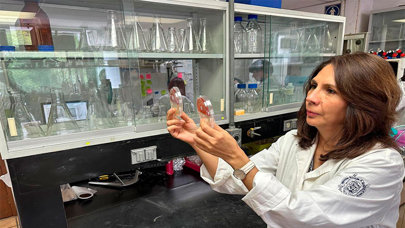 La investigadora nicolaita, Lourdes Macías, considerada como una de las mejores a nivel mundial 