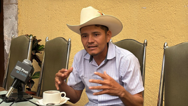 Alcaldes no deberían participar en Plan Michoacán, algunos estarían involucrados con el crimen: Cemeí Verdía 