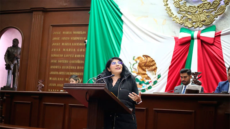 Que las personas con discapacidad sean tutelares de sus propios derechos, propone Vanhe Caratachea 