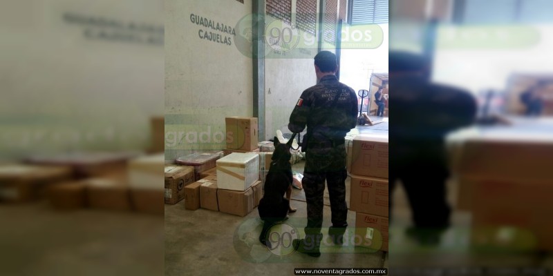 Morelia: Asegura PGR arma de fuego en una empresa de paquetería  - Foto 1 