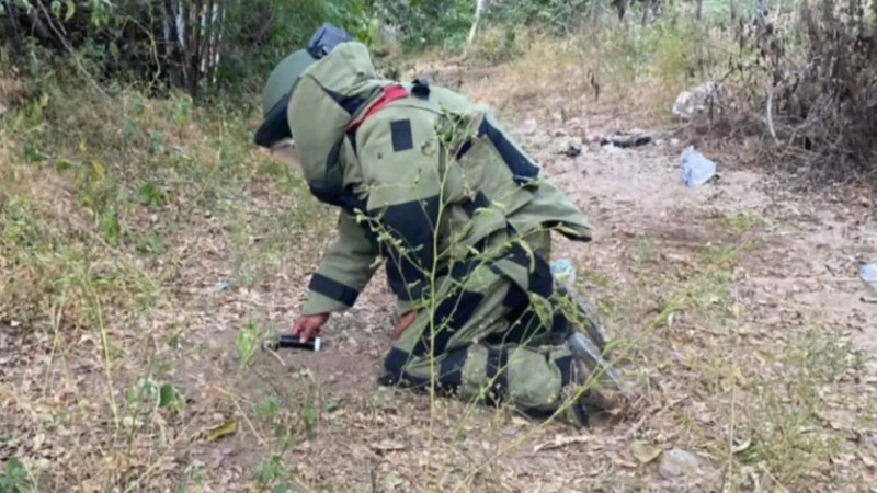 Hallan y desactivan 146 bombas artesanales listas para estallar en la sierra sinaloense 