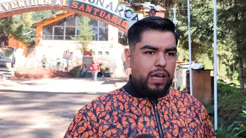 Mariposa Monarca Arriba al Santuario El Rosario en Ocampo: Expectativas de Visitas Superiores al Año Pasado 