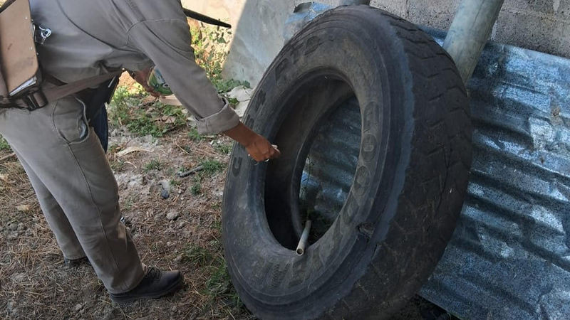 Mantiene sector salud de Querétaro estrategias permanentes de monitoreo contra el Dengue 