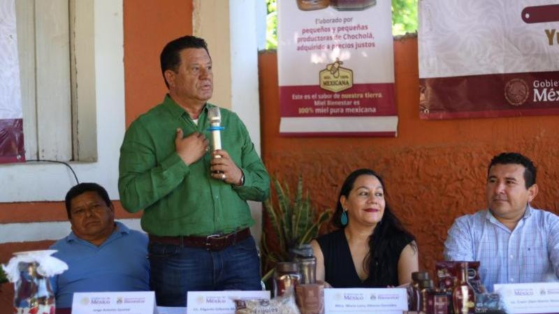 Se consolida Yucatán como centro nacional de acopio de miel 