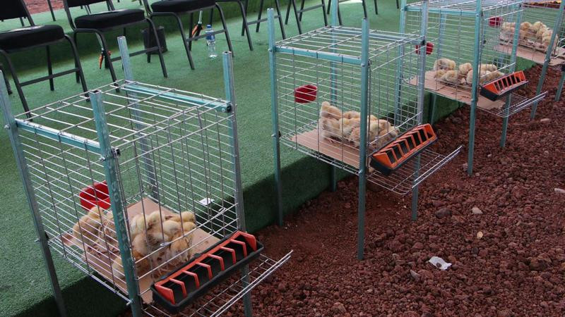 Gobierno de Puebla impulsa a la soberanía alimentaria  