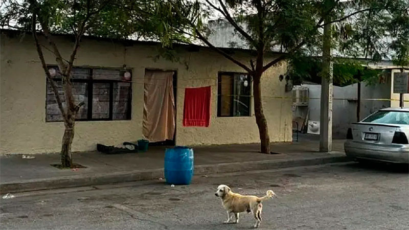 Quitan la vida a pareja dentro de su casa en la colonia Vicente Guerrero de San Nicolás de los Garza, Nuevo León 