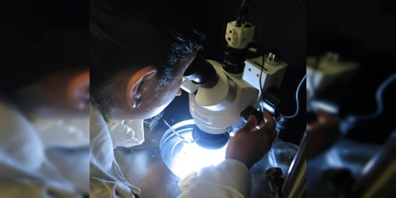 Cinvestav mejora laboratorio de nanopelículas en Querétaro - Foto 2 