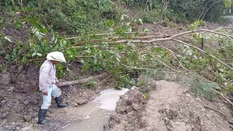 Lluvias vuelven a dejar afectaciones en municipios de Hidalgo 