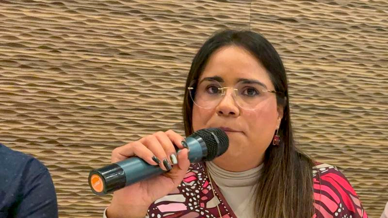 Hay 10 procedimientos sancionadores en trámite, informa el IEEQ 