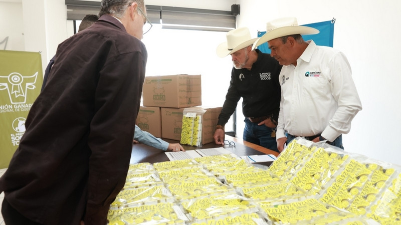 SEDEA fortalece al sector pecuario con la entrega de 20 mil aretes identificadores a productores del estado 