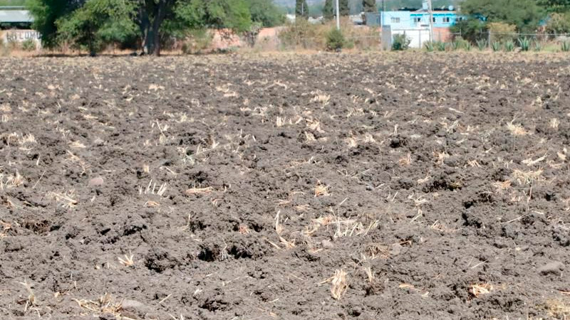 Querétaro lanza convocatoria programa de equipamiento agropecuario 