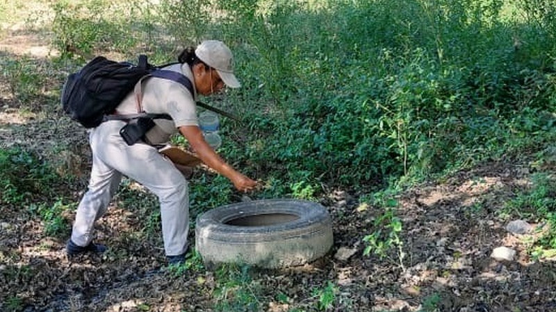 La participación ciudadana, fundamental para prevenir el dengue y eliminar criaderos: Secretaría de Salud de Querétaro 