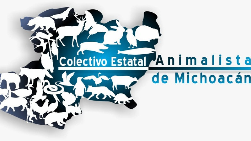 Apatzingán y Nueva Italia registran nuevo envenenamiento de perros; colectivos demandan justicia y cárcel para agresores 