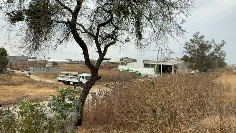 Hallan a un hombre y mujer con signos de ejecución en lote baldío del Libramiento Sur de Irapuato 