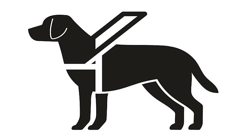  Poder Judicial de Michoacán, primer tribunal del país en incorporar formalmente la perspectiva de seres sintientes en su política pública 