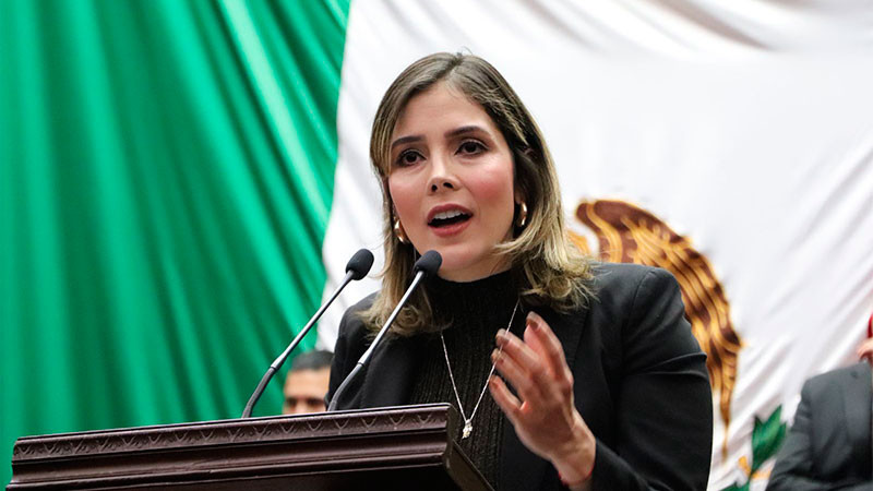 Propone Brissa Arroyo crear un Consejo Ciudadano Legislativo en Michoacán 