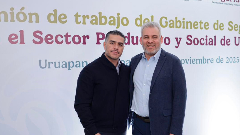 Plan Michoacán refuerza la estrategia de seguridad; suman más de 200 detenciones y 238 vehículos asegurados 