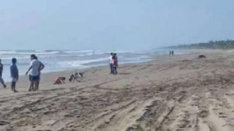 Salvavidas de Aquila, Michoacán, rescatan a dos turistas que eran arrastrados por el mar 
