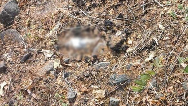 Desactivan 4 artefactos explosivos en zona rural de Buenavista, Michoacán 