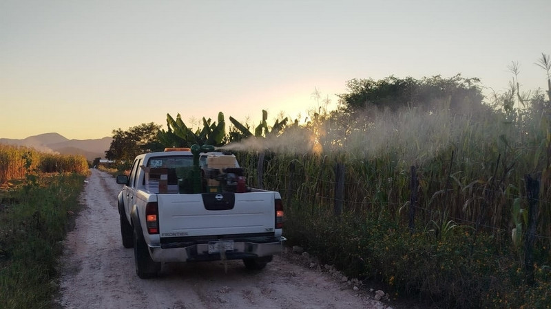 Participación ciudadana, clave para prevenir el dengue y eliminar criaderos en Querétaro 