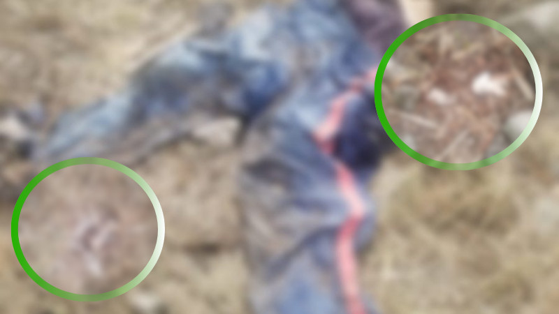 Hallan restos humanos en Tarímbaro, Michoacán 