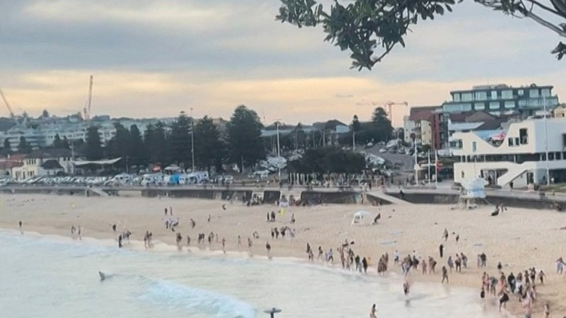 Atentado en Australia contra la comunidad judía deja 12 muertos y 29 heridos 