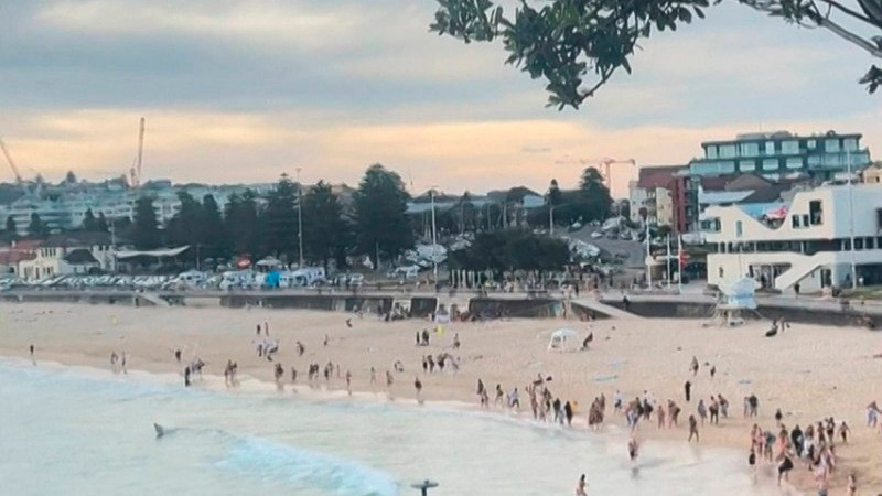 México condena atentado en Sídney; lo tacha de antisemita 