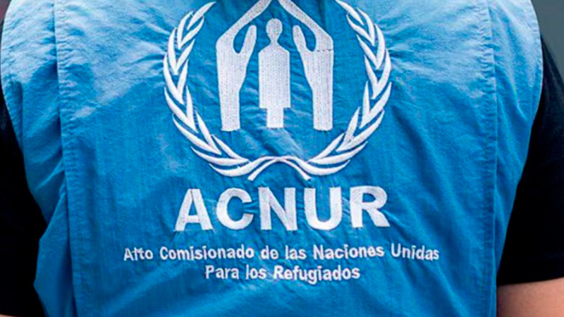 El 66% de los solicitantes de asilo prefiere quedarse en México y ya no busca llegar a EEUU 