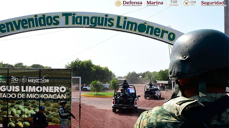 Dan resultados de acciones del Plan Michoacán por la Paz y la Justicia  