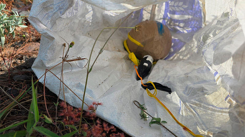 Localizan y desactivan artefacto explosivo en Nuevo Parangaricutiro, Michoacán  