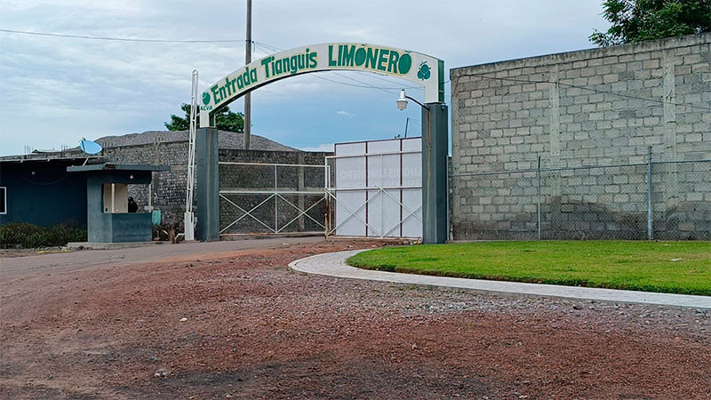 A dos meses del homicidio de su líder, la Asociación de Citricultores de Apatzingán sigue sin presidente formal 