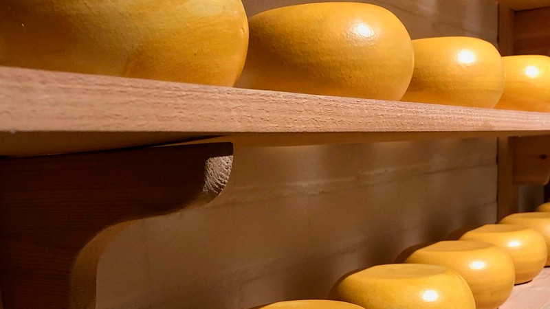 China anuncia aranceles temporales de casi 50% a productos lácteos de la UE 