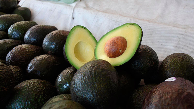 Michoacán proyecta iniciar con el Certificado Laboral para la Agroexportación en 2026 