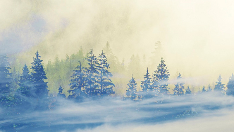 Activan alertas en California ante pronóstico de fuerte tormenta de nieve navideña 